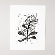 Indian Paintbrush Lino Print